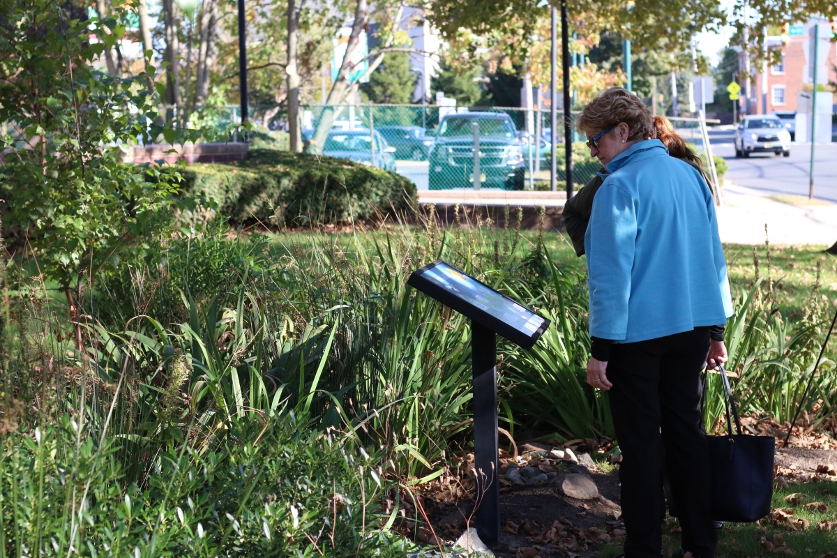 Consideration was given to the amount of available sun and native plants were selected because they are best suited for the climate. Hardy plants that tolerate both wet and dry environments were selected because the rain garden will temporarily fill with rainwater from time to time.