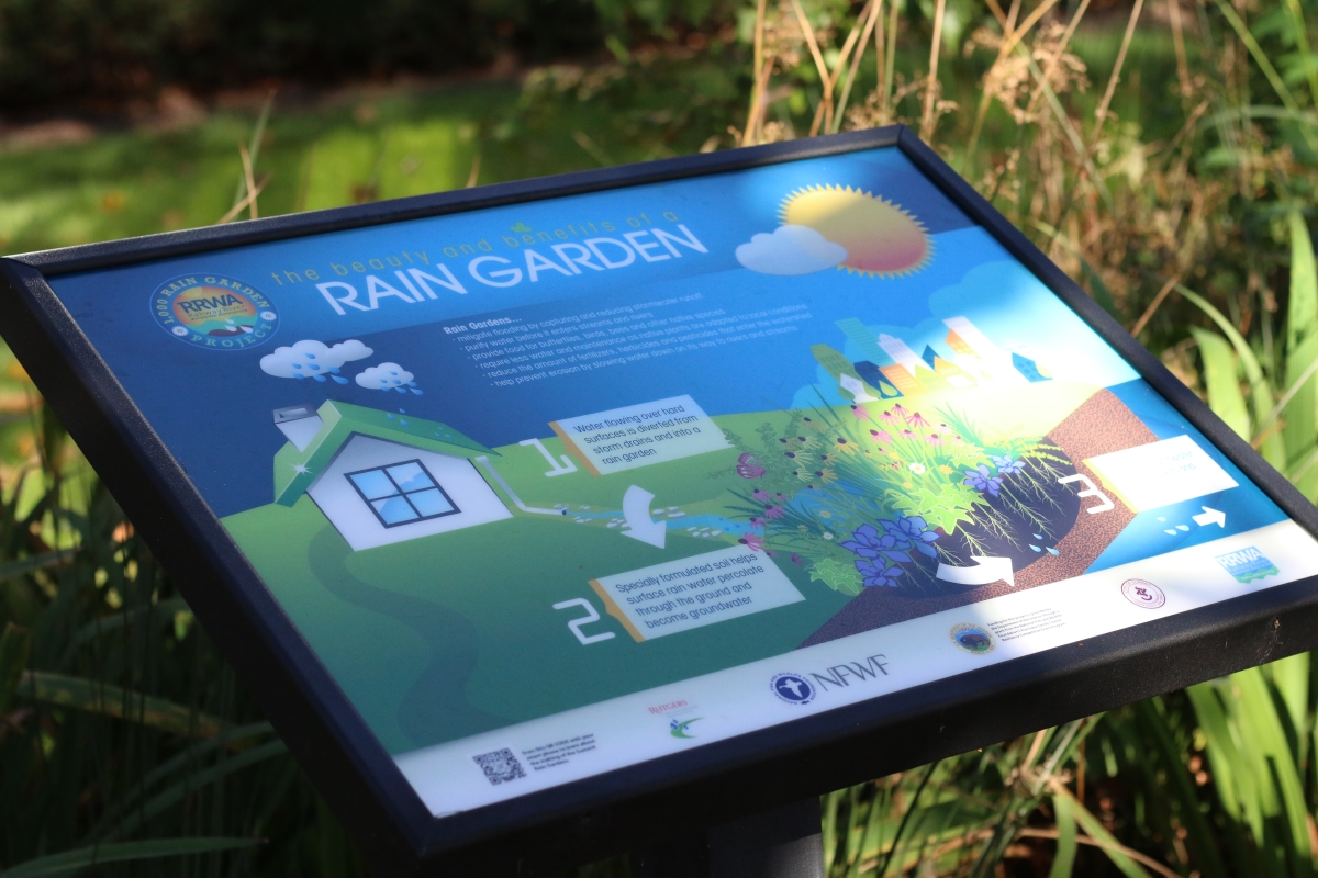 Signage helps to educate residents of Summit, New Jersey on the purpose and benefit of two recently installed rain gardens at the Summit Free Public Library. Water from the roof of the library is diverted into the rain gardens instead of the local sewer system. Contaminates are filtered from the water through a process known as ‘biofiltration’. The filtered water is slowly released from the rain garden through percolation and transpiration.
